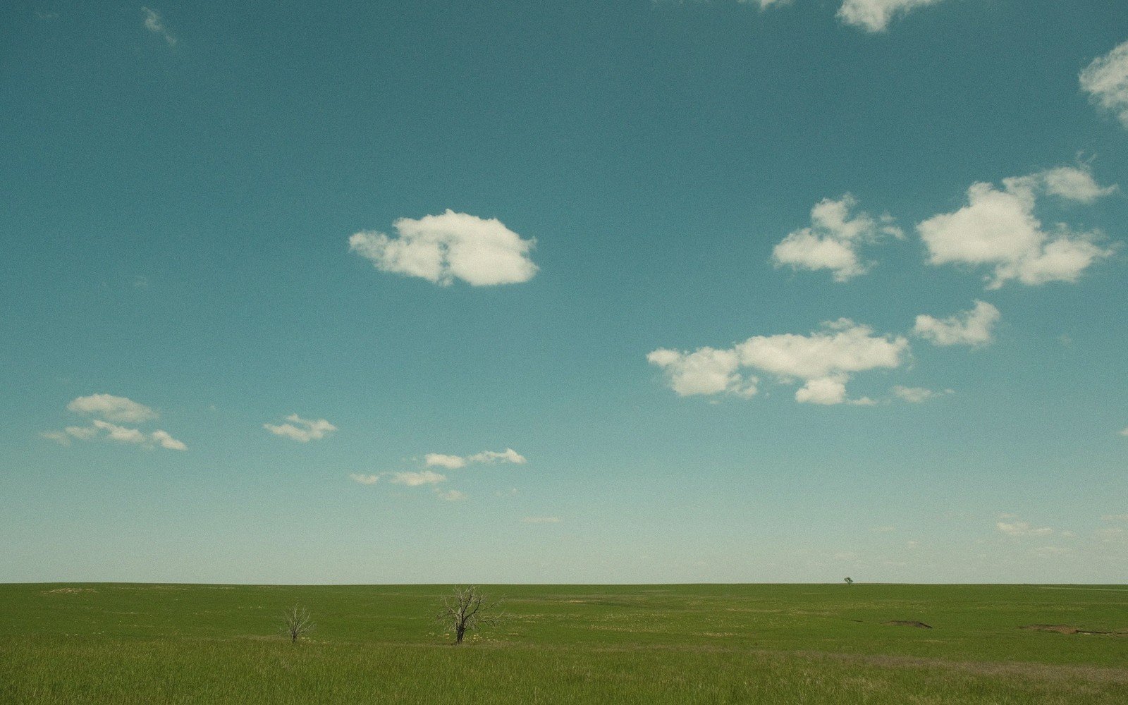 Short grass prairie under a huge sky