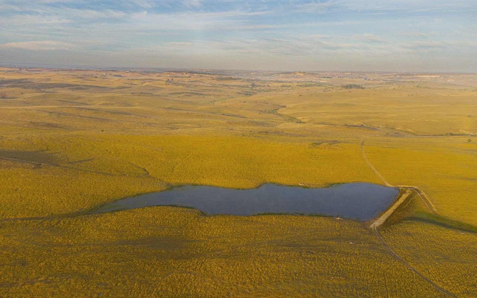 The Coteau des Prairies