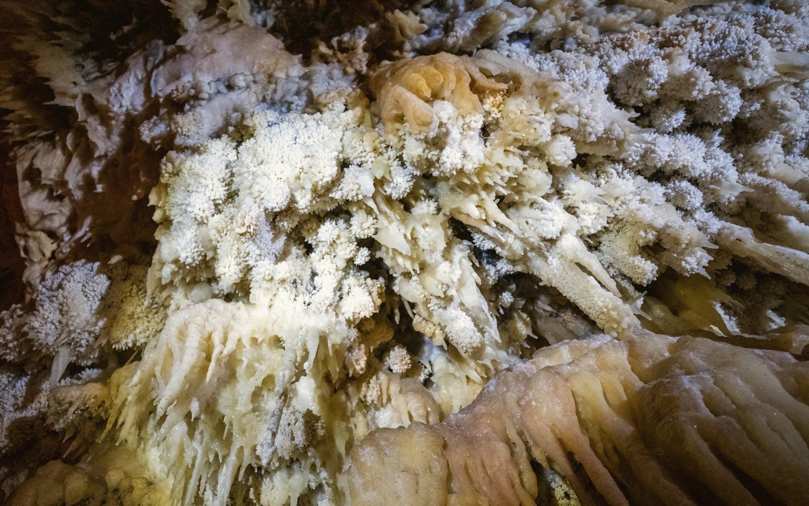 Wind Cave and the Boxwork